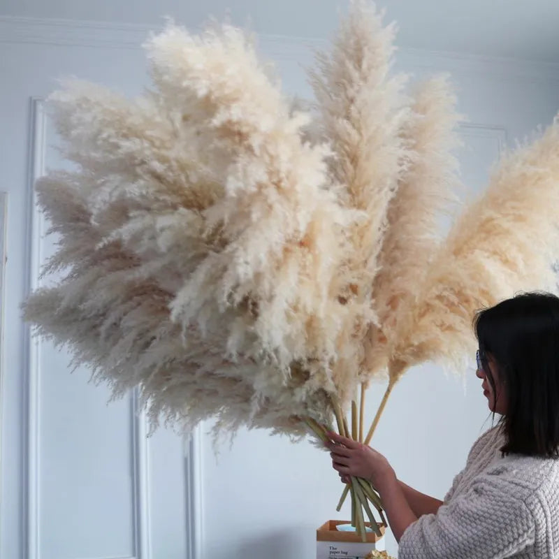 Wholesale Boho Wedding Decor 80cm Large Plume Dry Fluffy Pampas Grass Natural Real Preserved Flower Fleur Sechees Mariage