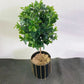 110-180cm Large Artificial Palm Tree Tropical Fake Plants Green Plastic Money Leafs Big Monstera Tree For Home Garden Decor