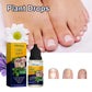 10ml Nail Fungus Repair Nail Care Liquid Hands Soft Nails Nail Care Moisturizer Feet Brightens Nails Nail Drops