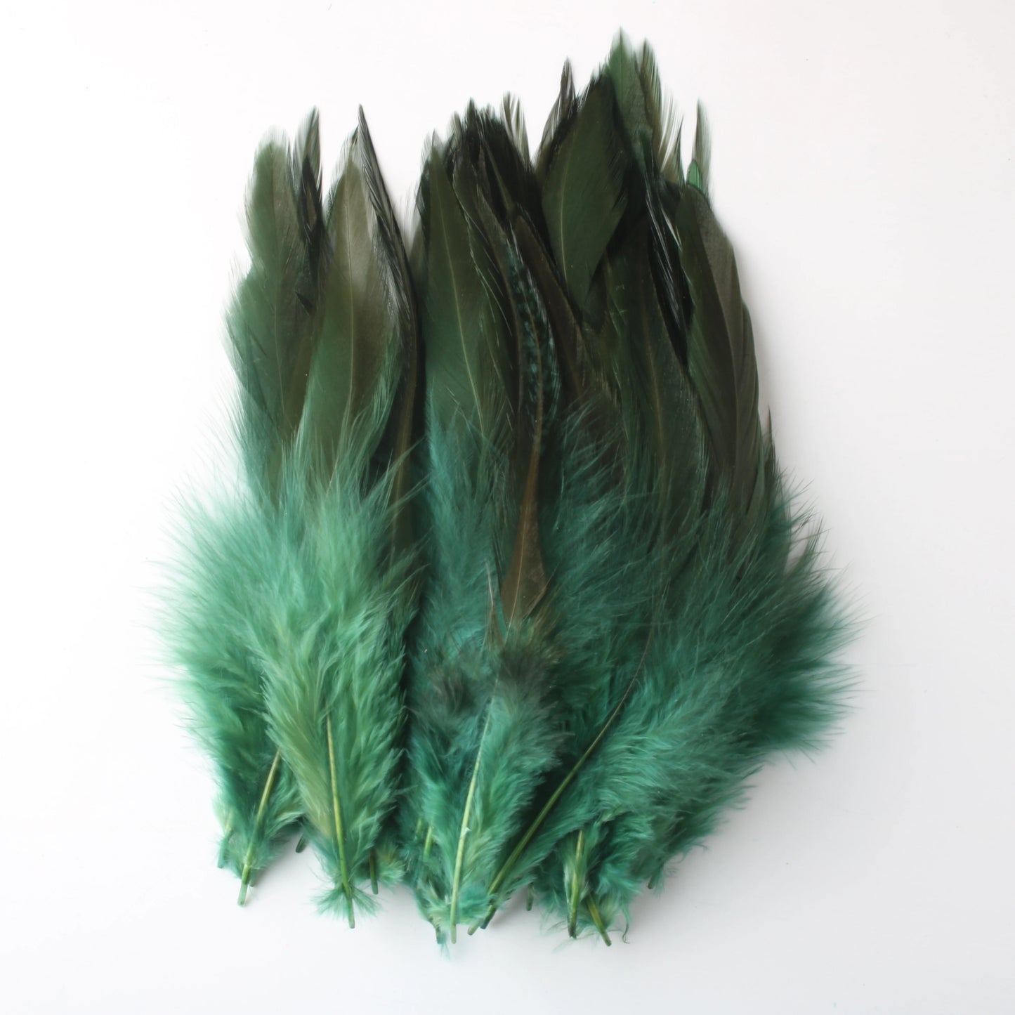 Wholesale 50 Pcs/Lot High Quality Chicken Feathers For Crafts 4-6 Inch 10-15cm Rooster Feathers Plume Jewelry Decoration Plumes