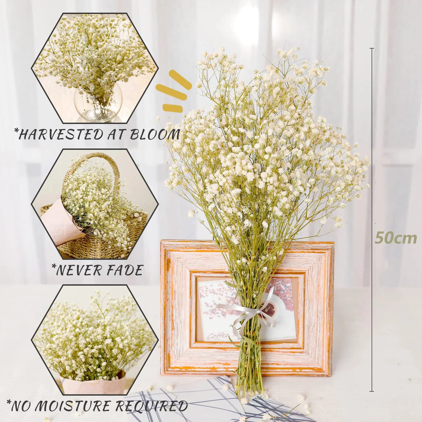 Baby's Breath Dried Flowers Gypsophila Arrangement Artificial Flowers Wedding Decoration Fleurs Sechees Christmas Home Decor