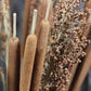 Belle Fleur 5Pcs Dried Natural Cattails Jumbo For Rustic Floral Wedding Arrangement Decoration Home Room Garden Plants Decor