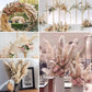 Wholesale Boho Wedding Decor 80cm Large Plume Dry Fluffy Pampas Grass Natural Real Preserved Flower Fleur Sechees Mariage