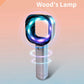 Woods Lamp Skin Analyzer Portable Facial Salon Beauty Analyzer UV Woods Lamp For Skin Care