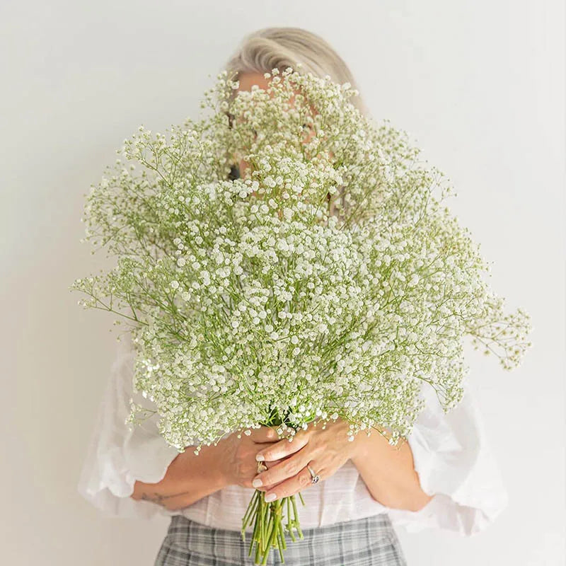 Baby's Breath Dried Flowers Bouquet Gypsophila Fleurs Sechees Flores Artificial Flowers Home Decor Christmas Wedding Decoration