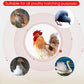 16 Eggs incubator for Chicken Goose Bird Dual-Electric Mini Household Brooder Quail Automatic Incubation Equipment Hatchery