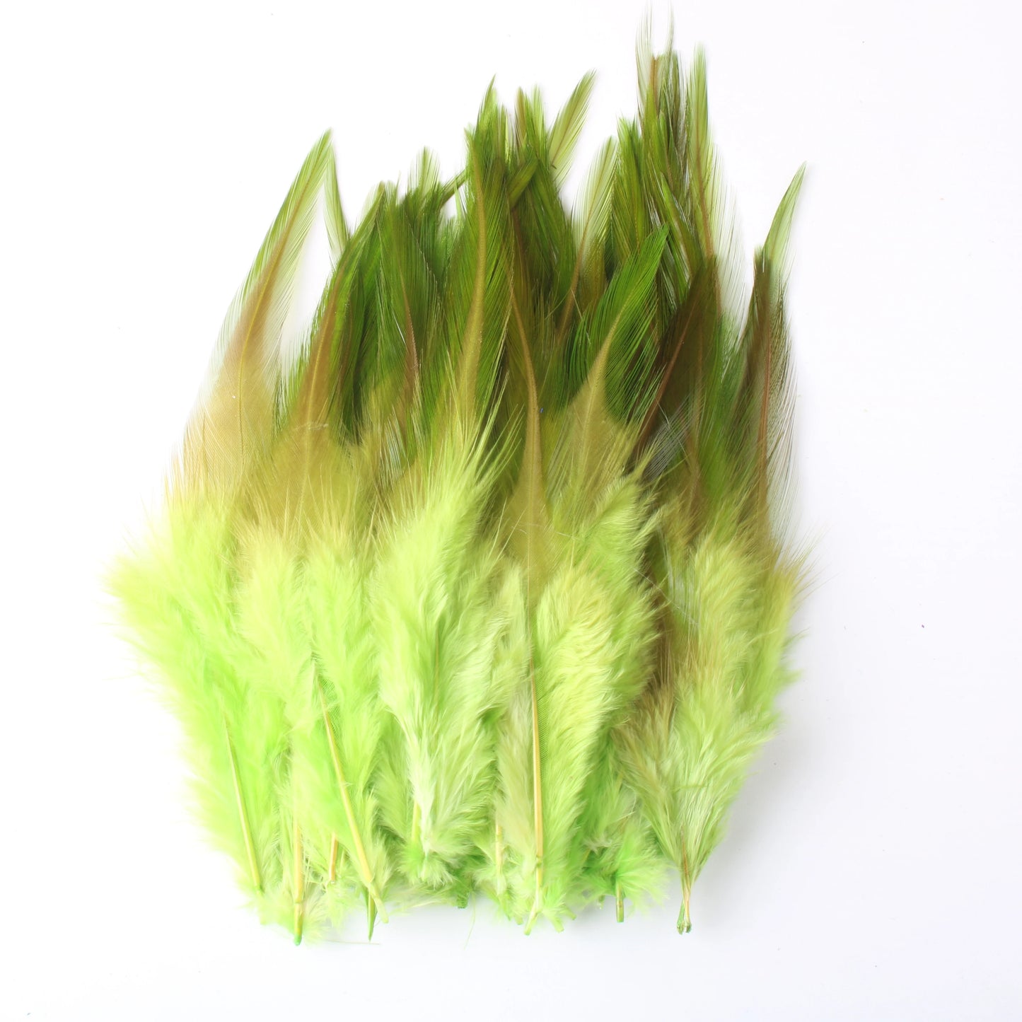 Wholesale 50 Pcs/Lot High Quality Chicken Feathers For Crafts 4-6 Inch 10-15cm Rooster Feathers Plume Jewelry Decoration Plumes