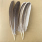 10Pcs/Lot Real Natural Eagle Feathers for Decoration Crafts Turkey Pheasant Bird Owl Feather Decor Plumes Accessories Carnival