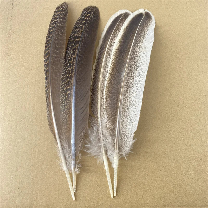 10Pcs/Lot Real Natural Eagle Feathers for Decoration Crafts Turkey Pheasant Bird Owl Feather Decor Plumes Accessories Carnival