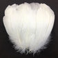 100Pcs Natural Goose Feathers Plumas Wedding Party White Feathers Christmas Crafts DIY Jewelry Making Decoration Accessories