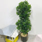 110-180cm Large Artificial Palm Tree Tropical Fake Plants Green Plastic Money Leafs Big Monstera Tree For Home Garden Decor