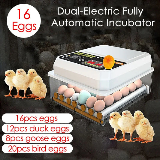 16 Eggs incubator for Chicken Goose Bird Dual-Electric Mini Household Brooder Quail Automatic Incubation Equipment Hatchery