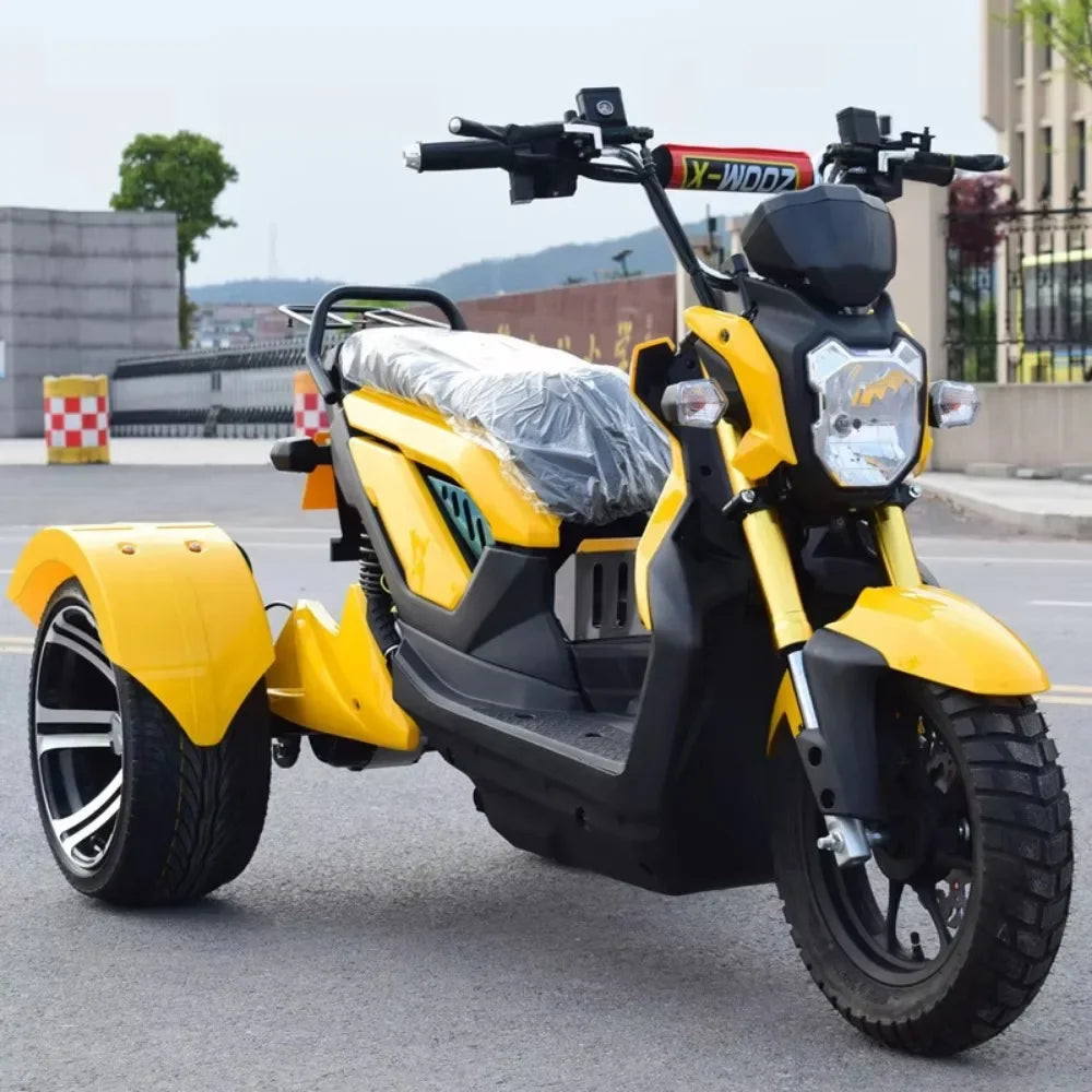 1000W Fashionable Removable Battery High Quality Powerful Three-wheel 3-wheel Electric Tricycle Scooter Tricycle