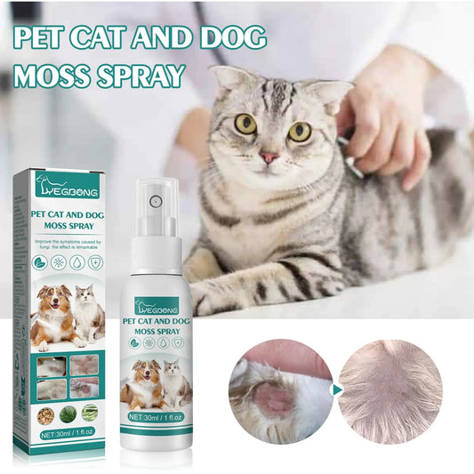 비데 멀티탭 30ml Pet Expel Fleas Lice Treatments Spray Quick and Handy Fleas Ticks Expellent for Dogs Cats Pet Health Supplies Espejo