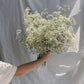 Baby's Breath Dried Flowers Bouquet Gypsophila Fleurs Sechees Flores Artificial Flowers Home Decor Christmas Wedding Decoration