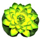 10/17/28cm Lotus Artificial Flower Floating Fake Lotus Plant Water Lily Micro Landscape for Pond Garden swimming pool Decor