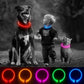 Led Dog Collar Luminous Usb Cat Dog Collar 3 Modes Led Light Glowing Loss Prevention LED Collar for Dogs Pet Dog Accessories