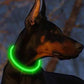 Led Dog Collar Luminous Usb Cat Dog Collar 3 Modes Led Light Glowing Loss Prevention LED Collar for Dogs Pet Dog Accessories