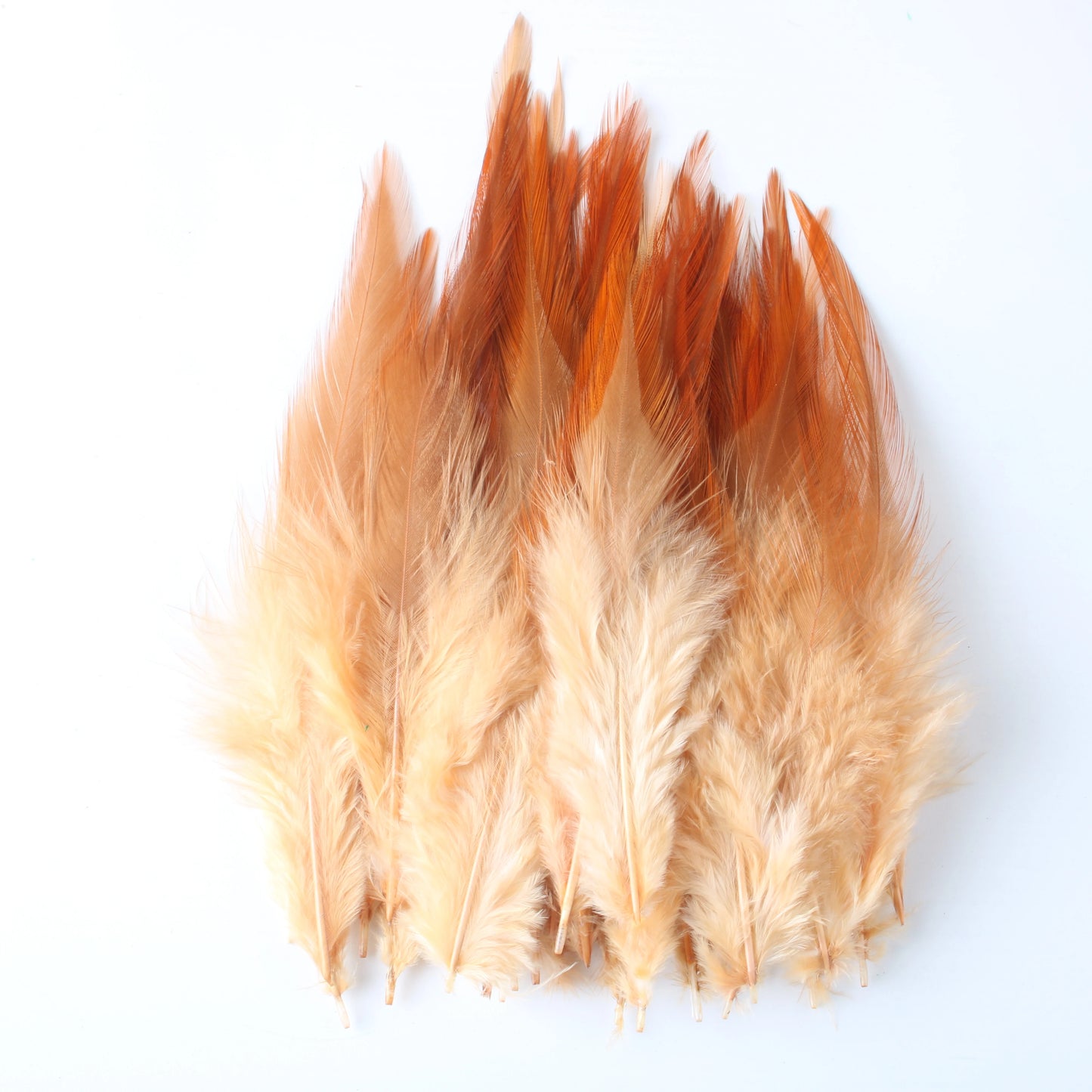 Wholesale 50 Pcs/Lot High Quality Chicken Feathers For Crafts 4-6 Inch 10-15cm Rooster Feathers Plume Jewelry Decoration Plumes