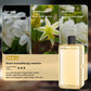 Xiaomi Automatic Diffuser Aromatherapy Car Perfume with Display Essential Oil Humidifier Bathroom Deodorization Air Freshener