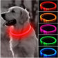 Led Dog Collar Luminous Usb Cat Dog Collar 3 Modes Led Light Glowing Loss Prevention LED Collar for Dogs Pet Dog Accessories