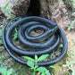 1.23m Fake Realistic Rubber Toy Snake Simulation Anaconda Scary Halloween To Scare Birds Props Prank Trick Toy Accessories